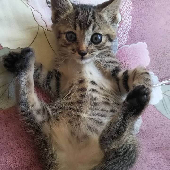 Ef193a39 f4a4 47bf af56 6a5f1db1c6ed 1633158919760