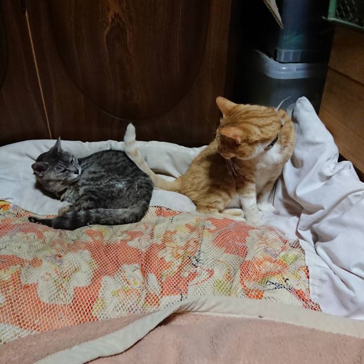 Ef19bafd c665 4121 831b 739889ebd9c0 1591363760742