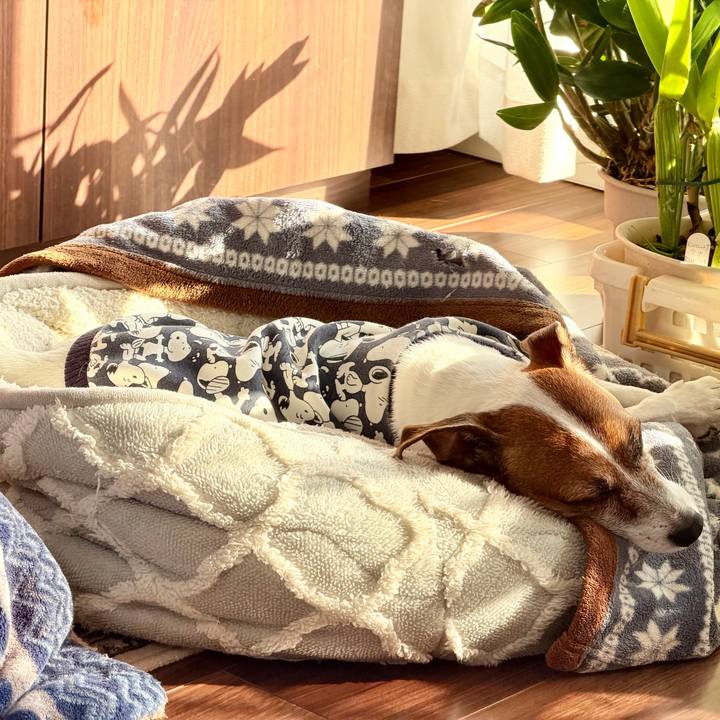 Ef19c20b ae8f 43e5 a766 12309c58d324 1768795523885