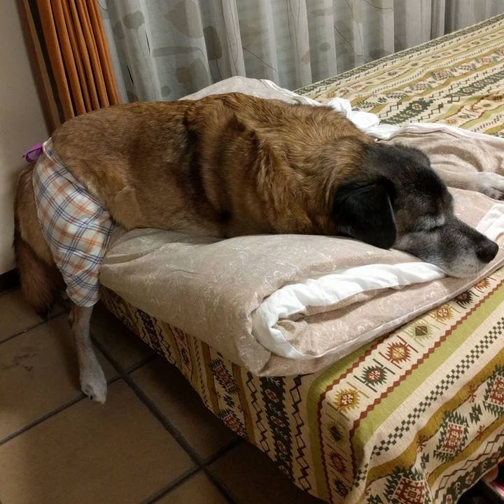 Ef1a056d 9735 4695 b496 3f83f1c037b8 1516831772173