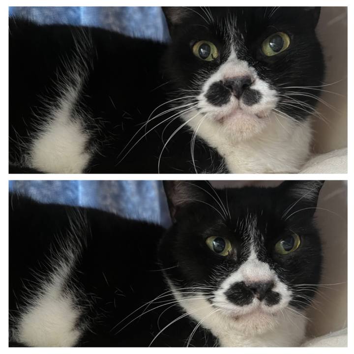 Ef1a1d0b 4565 4970 8684 e3e184534797 1683585709087