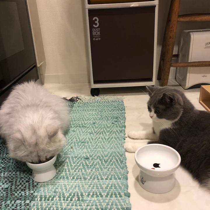 Ef1a44f1 e100 4a99 9e30 16c4a64a486a 1535464324282