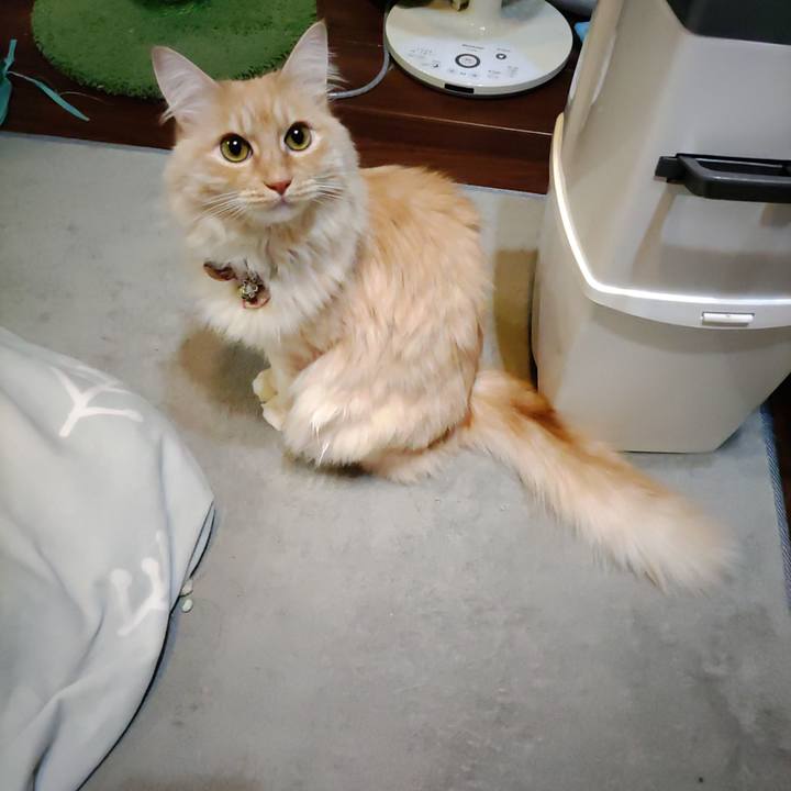 Ef1a8f2a 86b2 40a1 b3ed ae039df9597e 1703805414931