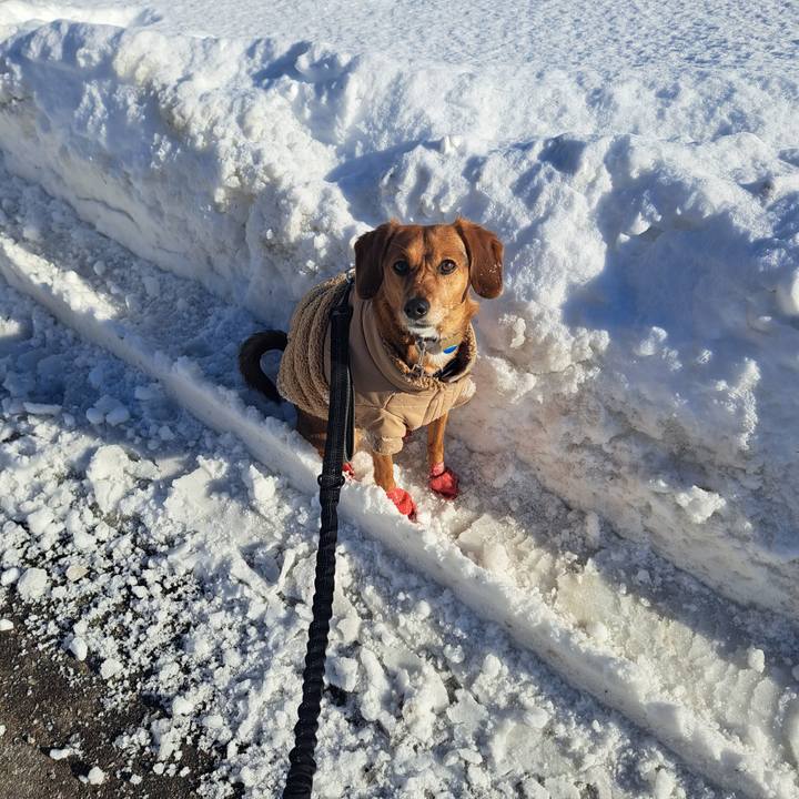 Ef1a9a7c f9fe 4e5e 926f 4900b3bc9ffd 1770245422040