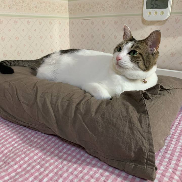 Ef1ab40d f065 4f3a 9f71 b7d0450d0cef 1634043044620