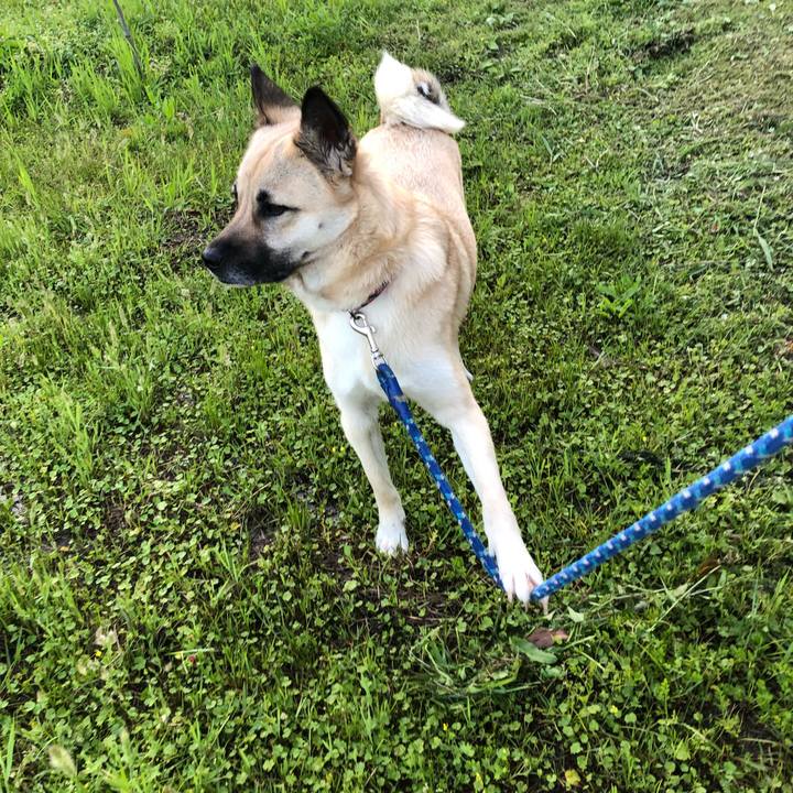 Ef1ac48f 71a5 4aa4 ac7e d45f95de32dc 1525863047451