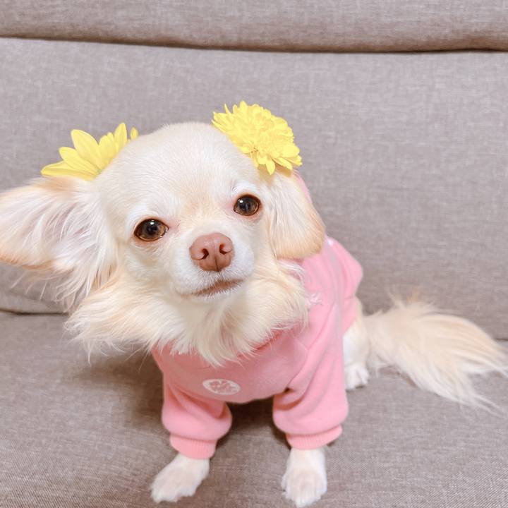 Ef1b2202 c0b3 406a 9832 12cc692435c6 1665143246681