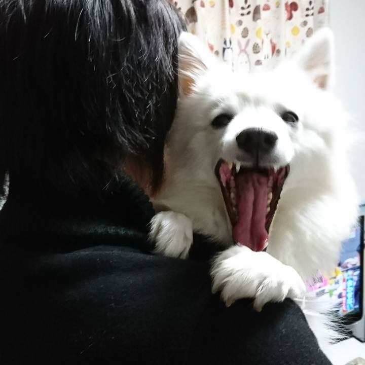 Ef1b342c a84d 4460 b078 78ed46b988bd 1516884387613