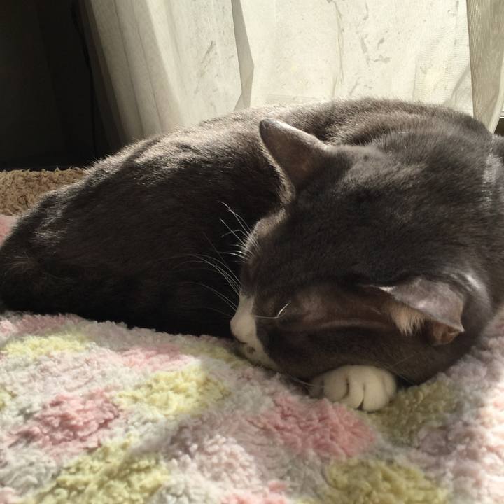 Ef1b9061 3aac 49cb ab61 245478b950c0 1608019636150