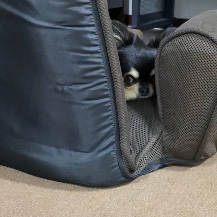 Ef1ba262 eda8 4a64 bbcb 888be0955d56 1626260315847