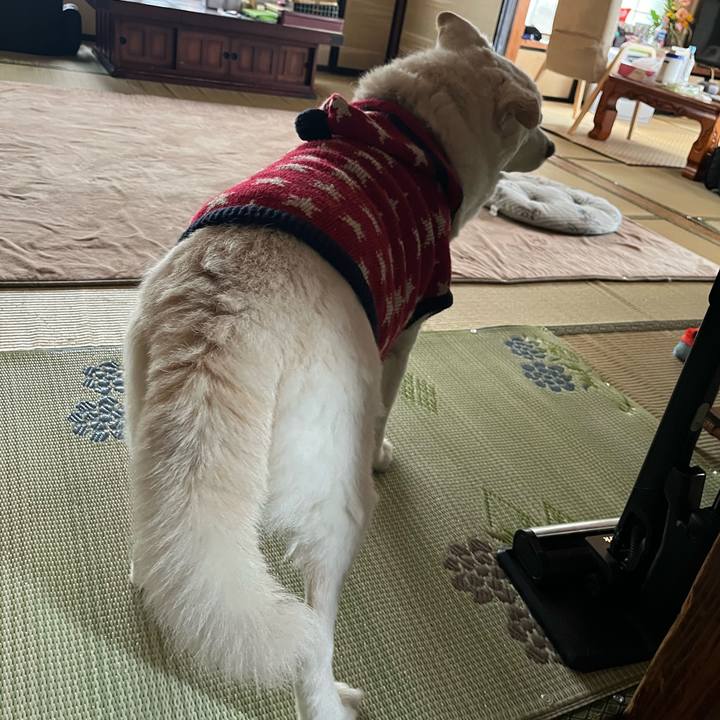 Ef1c2605 2e0b 4722 a7d4 2656d1de1a75 1768954808792