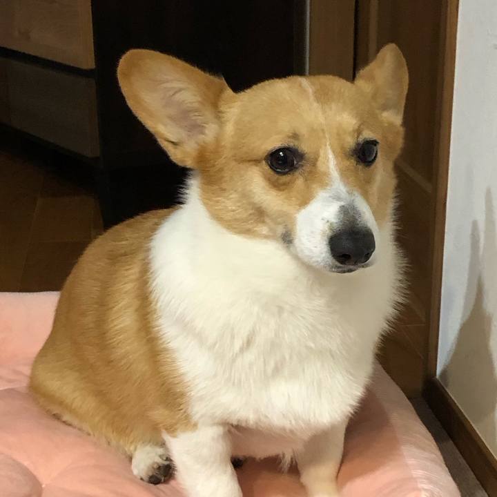 Ef1c517d 89a6 48e1 b293 d525cd3ed0c1 1676805225395