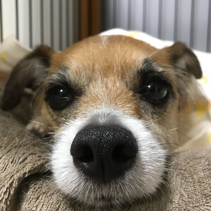 Ef1c9000 41b6 4a96 b1bb a6800eaf2065 1526475954333