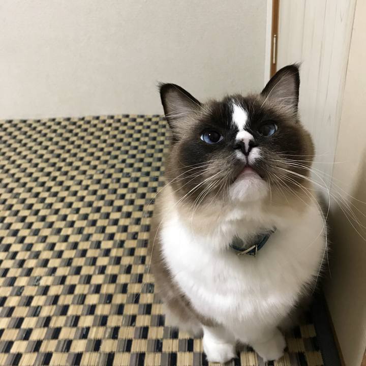 Ef1c9907 cc1b 45d8 b556 8368e6871f1d 1512868730751