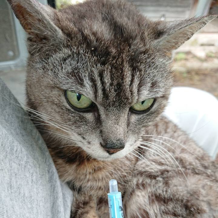 Ef1cd4aa 8cb2 4489 a4a9 636b64d2378e 1595713839345