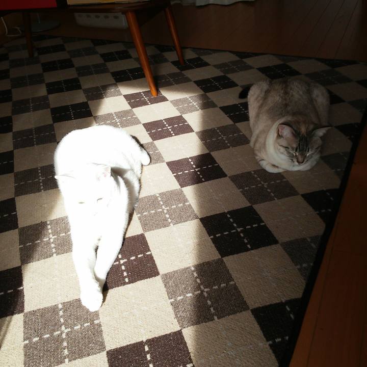 Ef1d4a88 9024 4330 8d81 d1ae35f9b272 1517363927908