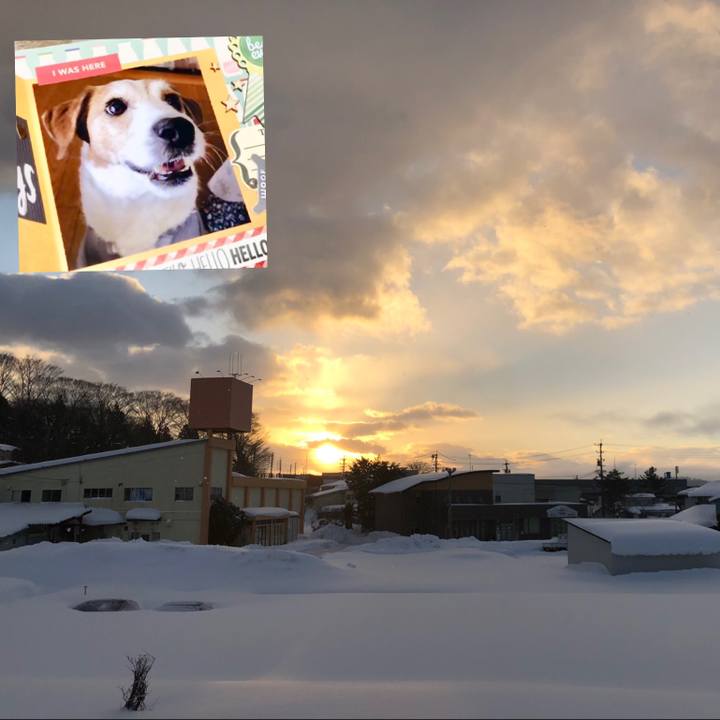 Ef1d791d 327d 40c2 a778 633770f55620 1547855509290