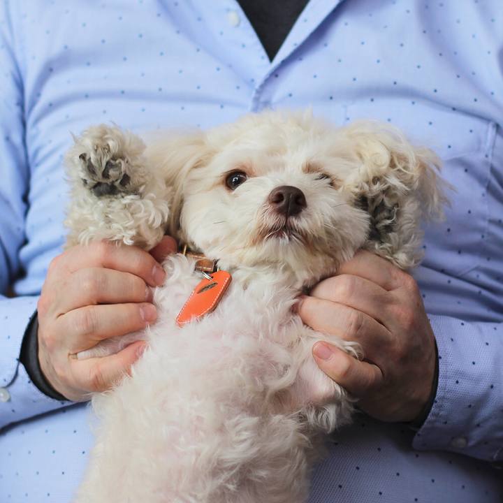 Ef1da012 8b95 4152 be02 21cf32ac592f 1578145891882