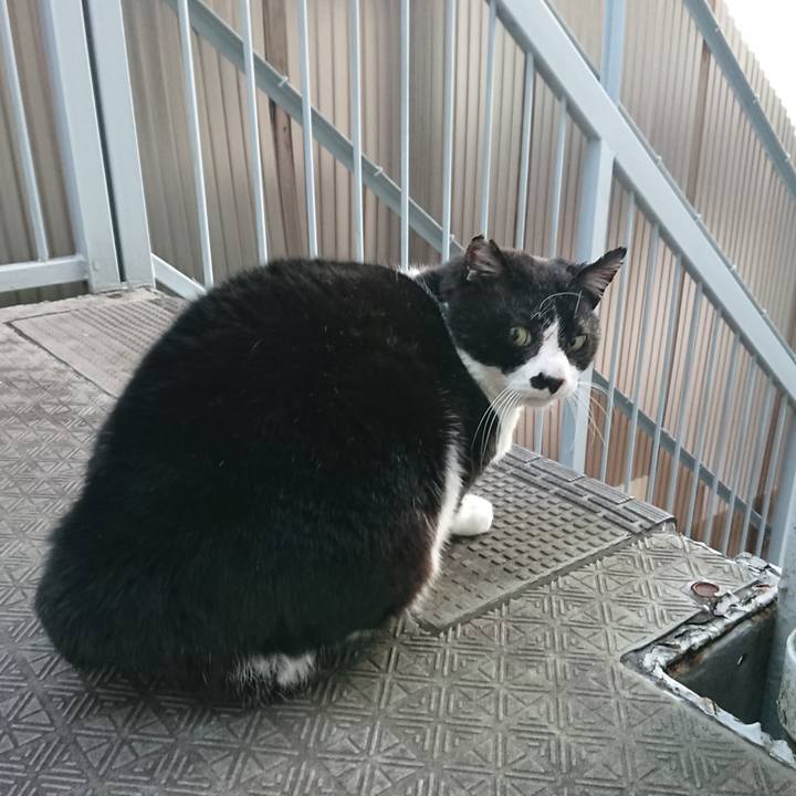 Ef1de90c b69e 4f1c a573 f4e494c3dbf8 1579146776837