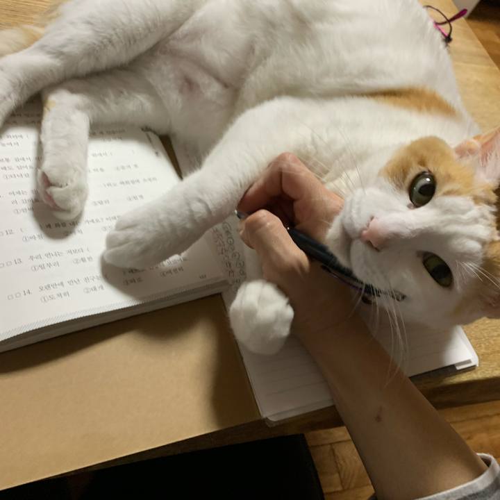 Ef1e0569 37d4 469e b689 ddbe66666516 1585842558006