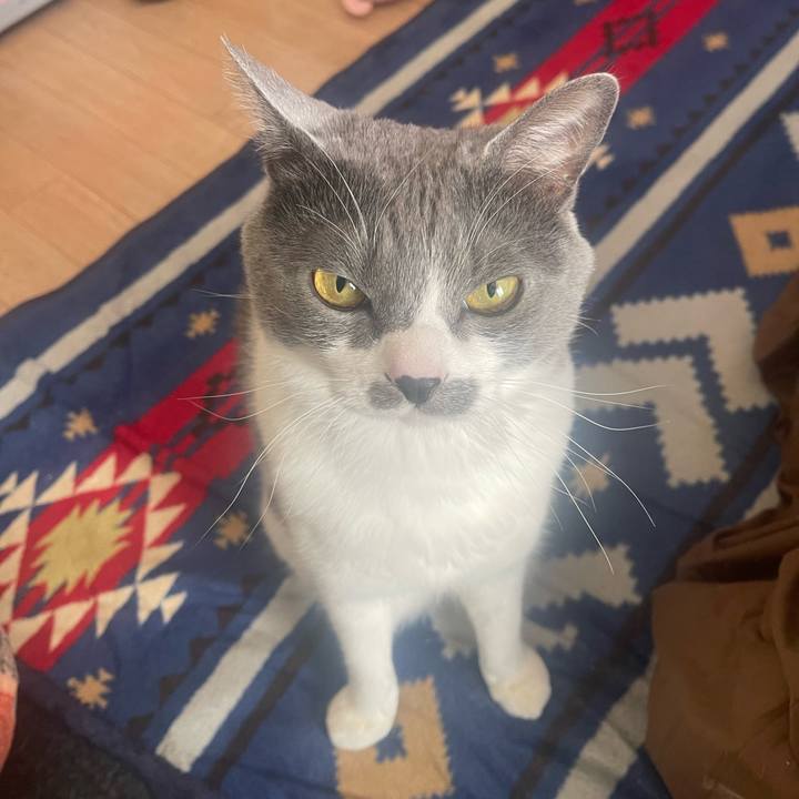 Ef1e165c b3ab 4e26 b346 5689d02c1672 1677283783732