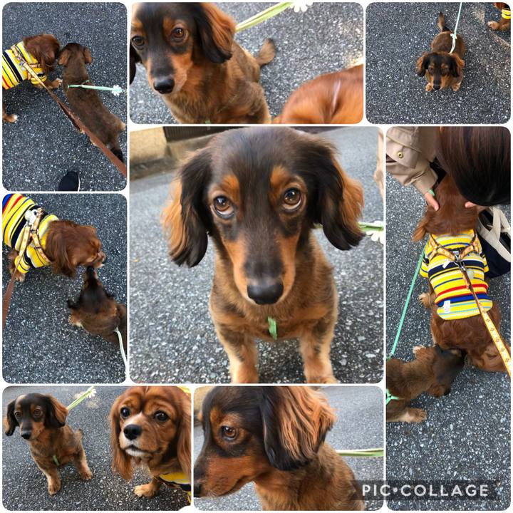 Ef1e3992 890f 46fa 8dcc dcd0e5fe95bb 1606004733809