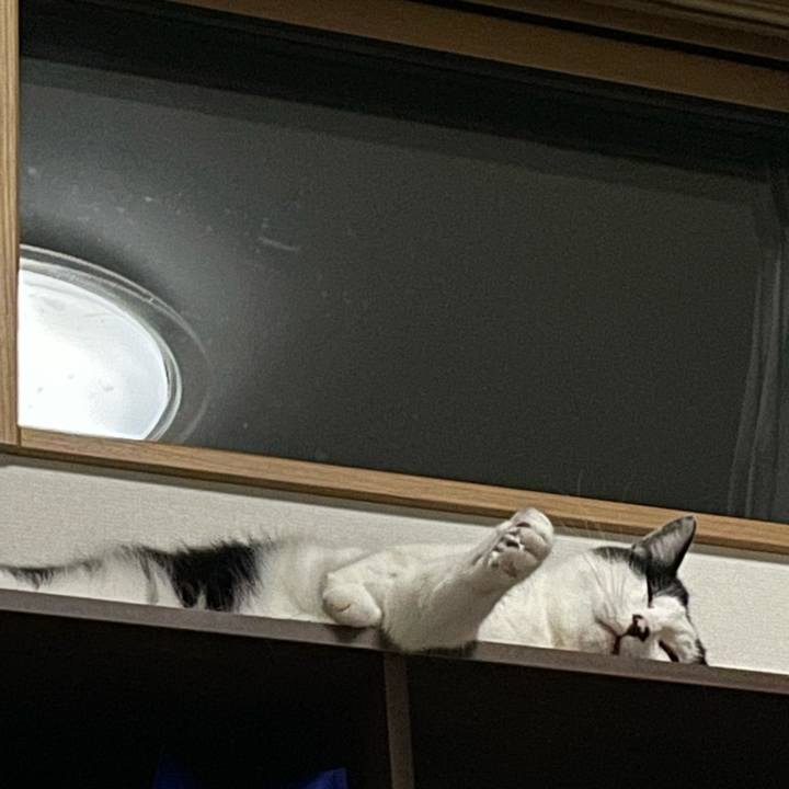 Ef1e6c0f 4ad0 4d85 9f88 01f7a6775cbf 1666458650010