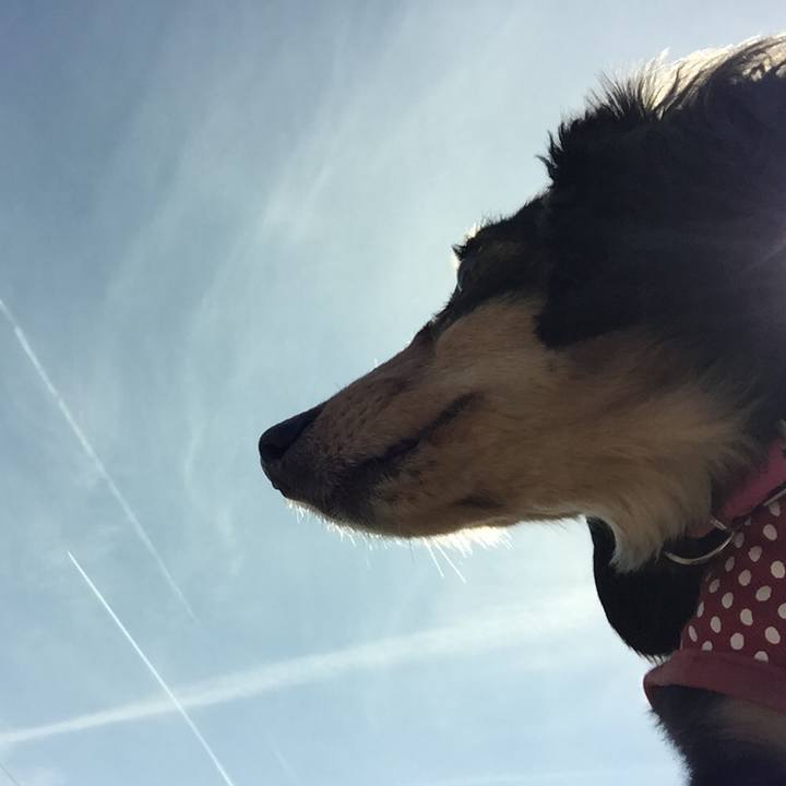 Ef1eaba5 87d2 4891 b434 7b83e299806d 1525997122875