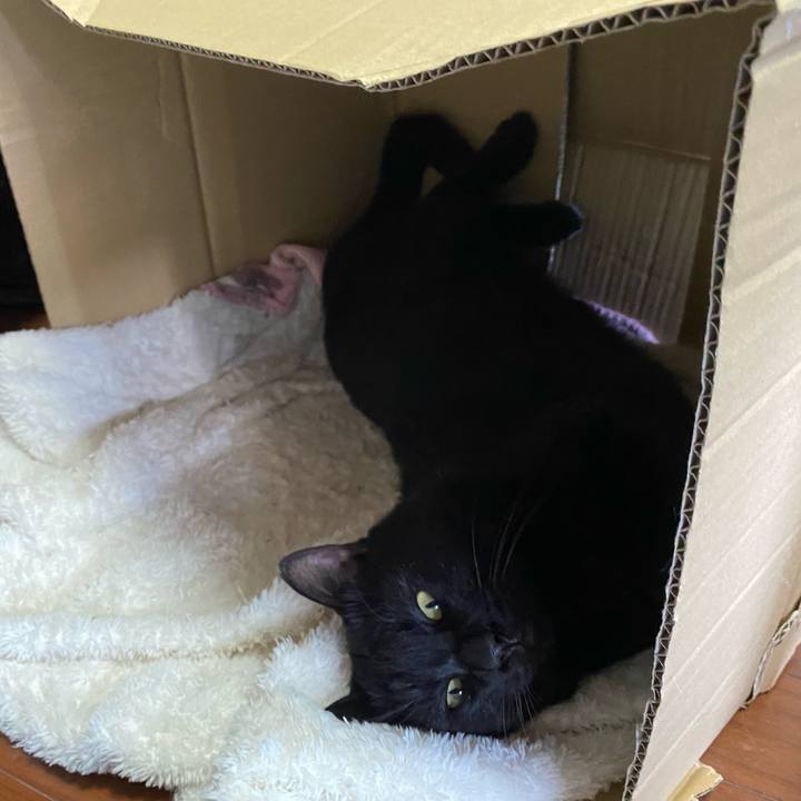 Ef1eb379 4a45 4d9e 83a2 afc6978ab283 1632307406885