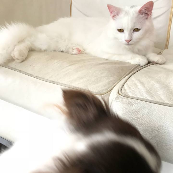 Ef1f2564 25fb 496b 8890 f607498d8754 1524803455520