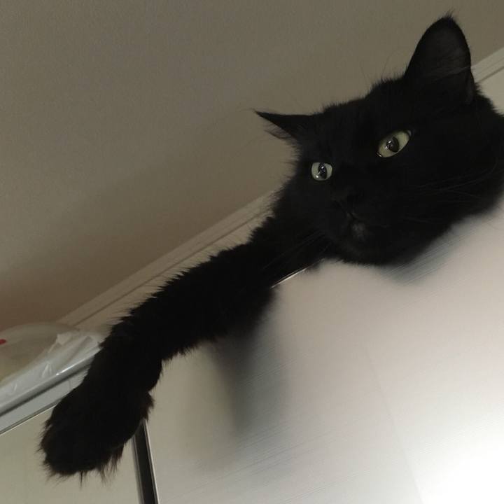 Ef1f2ac5 5131 4dd5 ab98 4b24338acae3 1514088497454