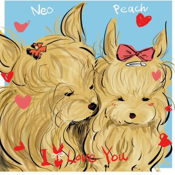 Ef1f4432 6dad 467b a825 e8dfaf097d74 1708820182733