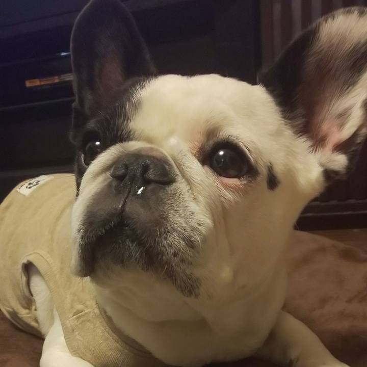 Ef1f56a1 96e5 4f9c ad3b e9b5d703127c 1634988244809