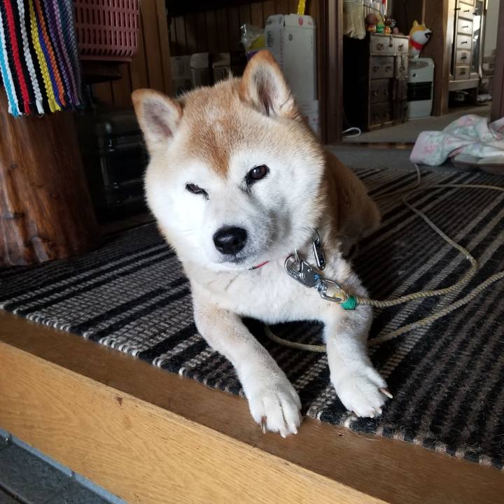 Ef1fcfd9 4795 47a8 ac12 408e585c7d27 1718578360140