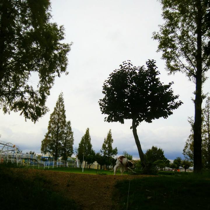 Ef1fed78 b4d7 4038 9493 9dae7aeaa0d6 1537865575567