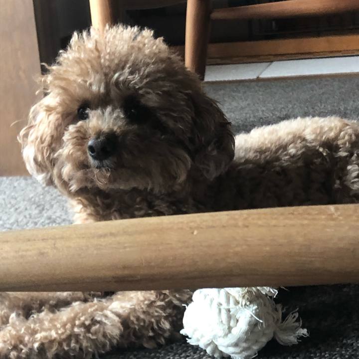 Ef1fef61 8963 498c b1b1 1b632ded0616 1582593886026