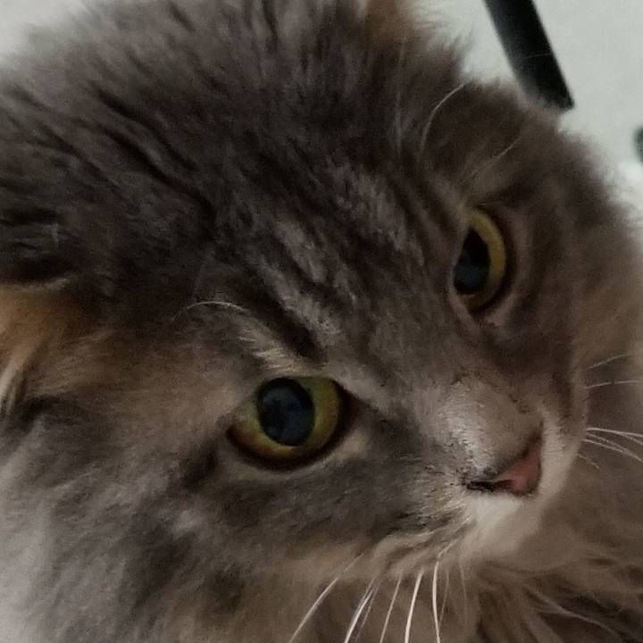 Ef20327a 38a1 4bb4 adc3 e81663c60bec 1552608375444