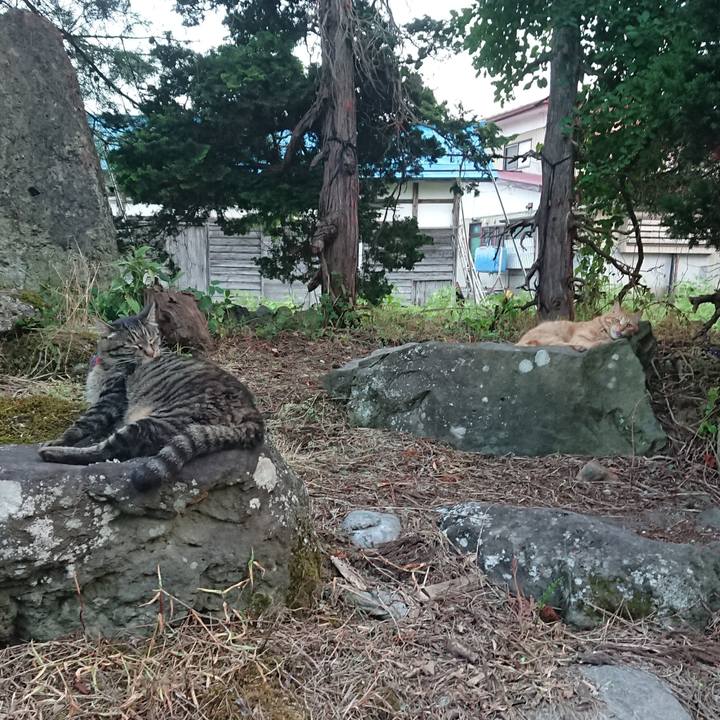 Ef203695 cec2 4e9f 8489 5b2c8ce109f3 1659864574717