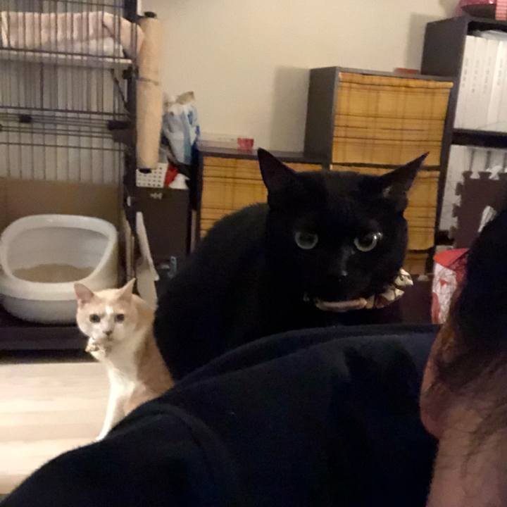 Ef207b50 2974 4f1f 8915 327e5b438a53 1584621243659