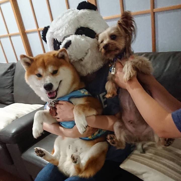 Ef209f0c 9ce4 4b5a b4ed e86496416cf7 1535762852695