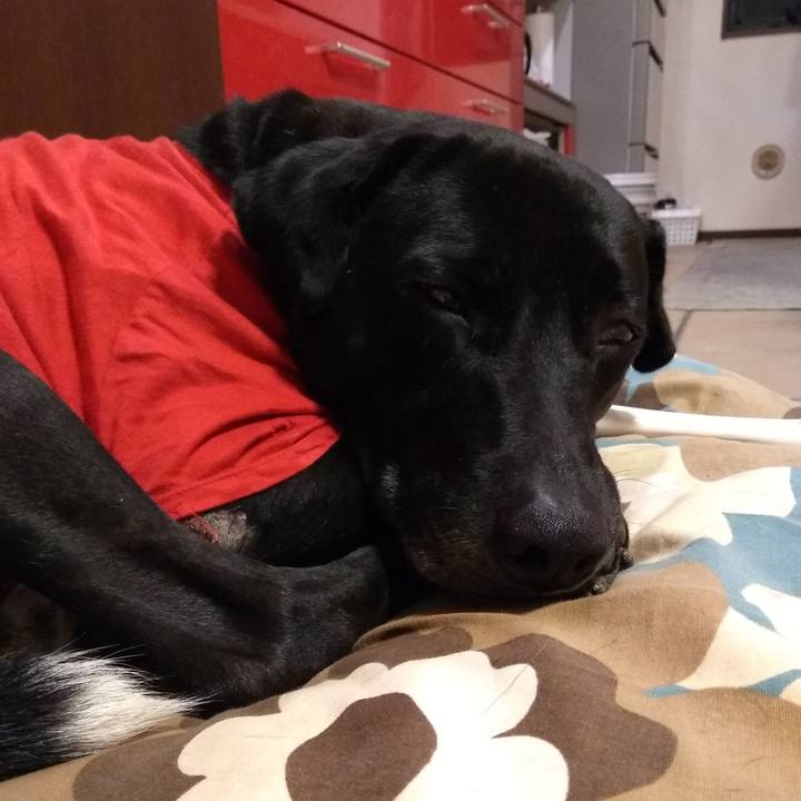 Ef20cc50 ae41 4e9e 8230 24f6d03de01e 1617361191417