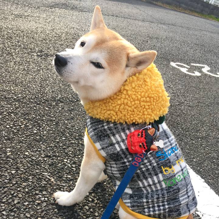 Ef20d646 01c2 42f4 a295 201e7bbcd5f4 1770080229723