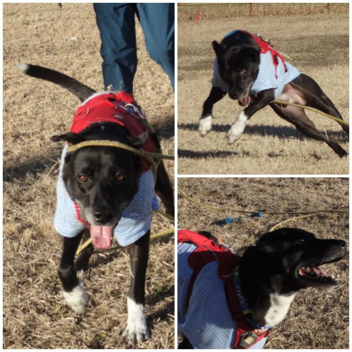 Ef20d9c7 37cf 4ef1 8413 bd264fc356cc 1672104991409