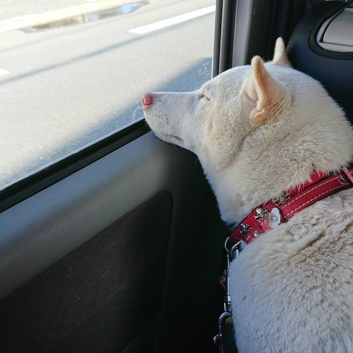 Ef210c3d 1e15 4c74 90e8 28bdf9c84591 1519884678039