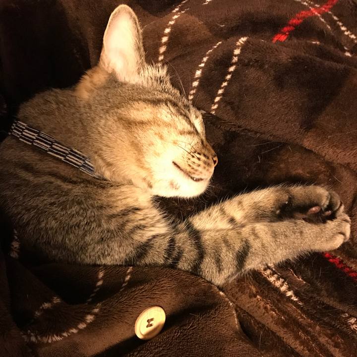 Ef211734 a5d3 4168 b74b 5b2c78090628 1525348523623