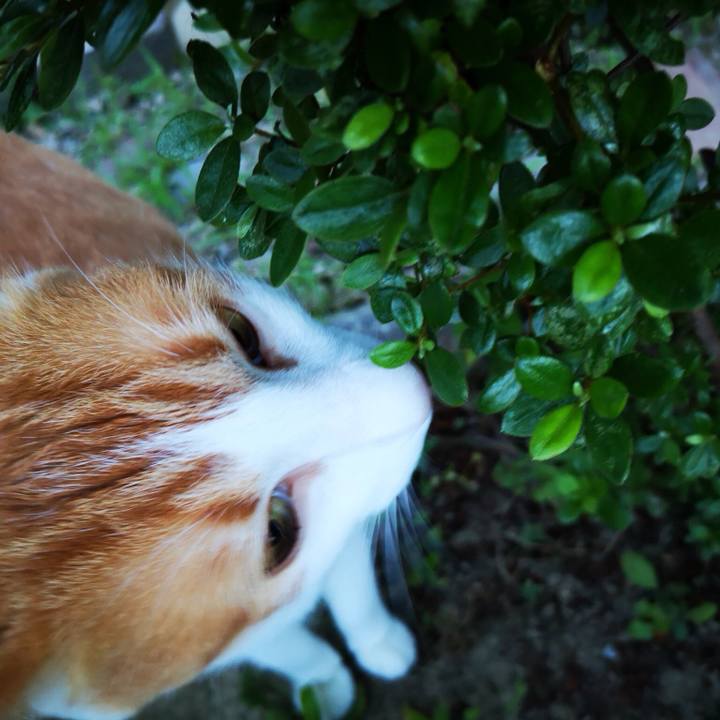 Ef212814 8e88 44a2 bba6 841f592933b0 1532005629444