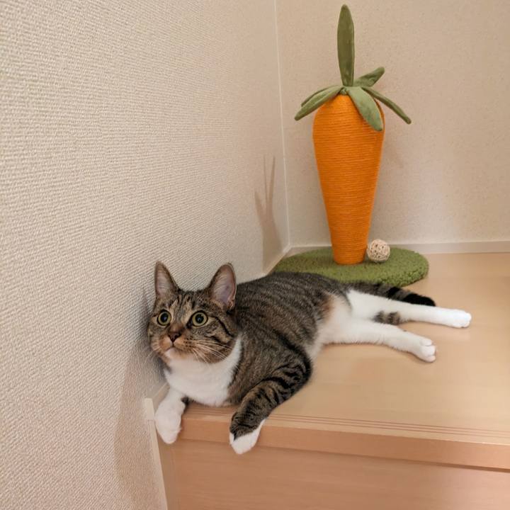 Ef214afe 6da1 4e38 bfe6 5b6597391116 1693495675462