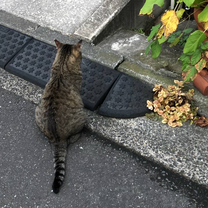 Ef214e51 21c6 453e 8bb0 a2a781370ce6 1566301001808