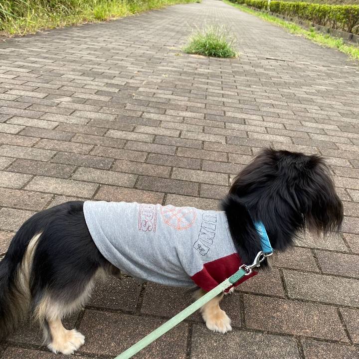 Ef2169e3 58fd 423a 90db 308afabc329f 1723678295196