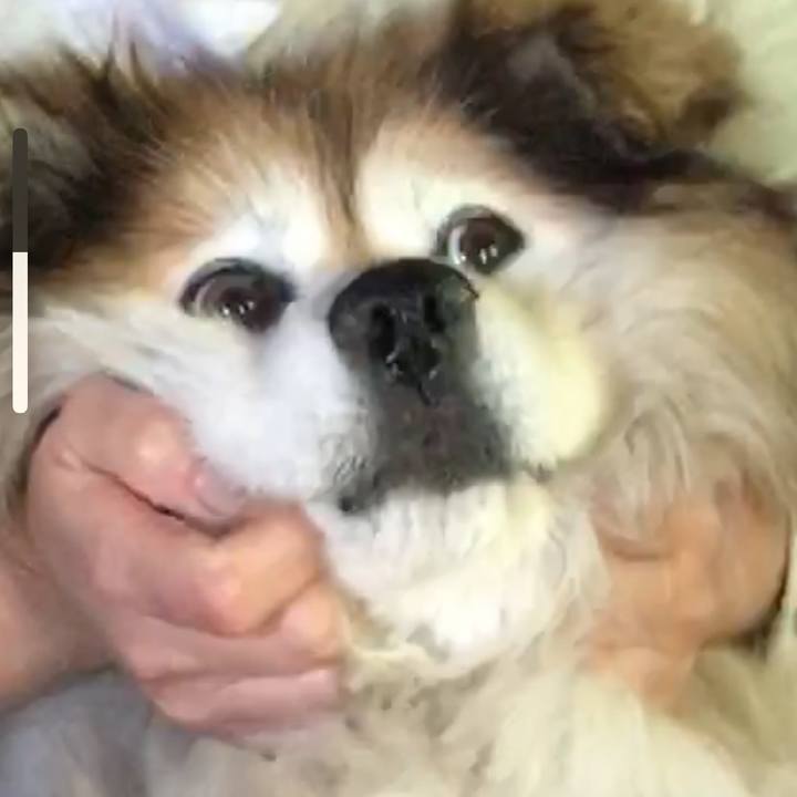 Ef219238 7693 4a17 9007 2dfd3f0d91d5 1630414482901